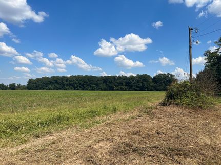 Farm Property in Richland Parish, Louisiana