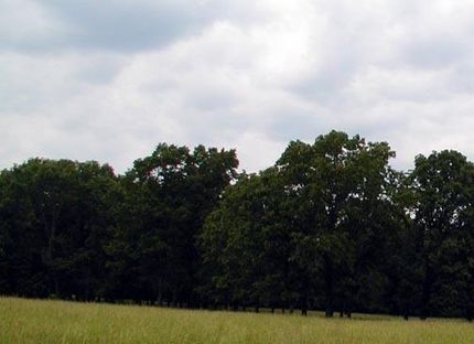 Commercial Property for sale in Howell County, Missouri