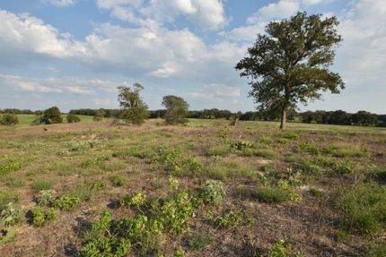 Ranch Property in Milam County, Texas