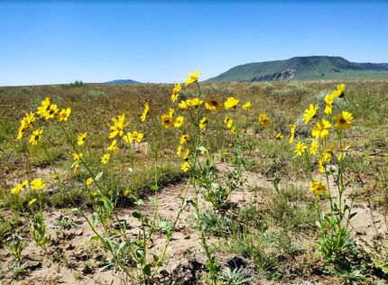 Farm Property in Costilla County, Colorado