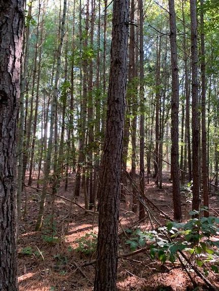 Ranch Property in Newberry County, South Carolina