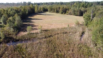 Farm Property in Marion County, South Carolina