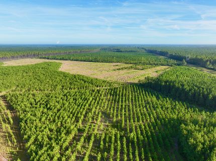 Farm Property in Wayne County, Georgia