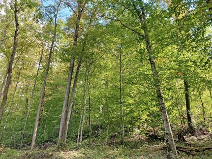 Farm Property in Lincoln County, West Virginia
