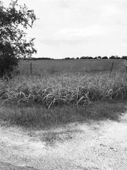 Ranch Property in Jim Wells County, Texas