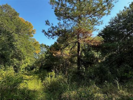 Property in Polk County, Texas