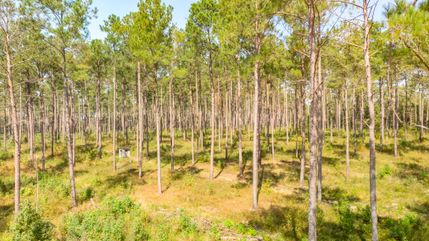 Farm Property in Macon County, Georgia