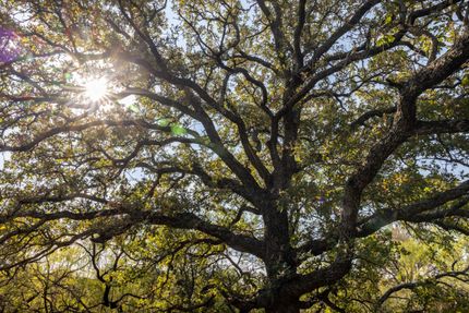 Property in Jack County, Texas