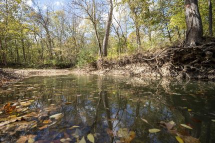 Timberland Property in Warren County, Missouri