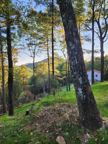 Recreational Property in Wilkes County, North Carolina