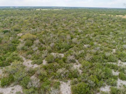 Undeveloped Land in Live Oak County, Texas