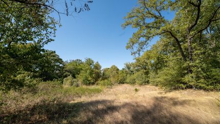 Undeveloped Land in Milam County, Texas
