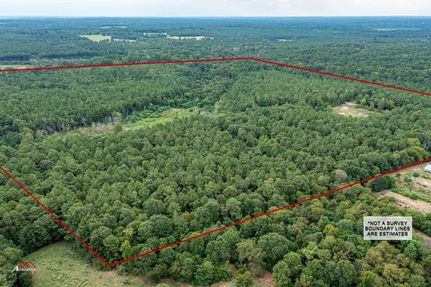 Timberland Property in Shelby County, Texas