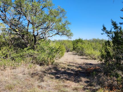 Ranch Property in Comanche County, Texas