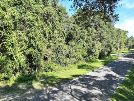 Farm Property in Levy County, Florida