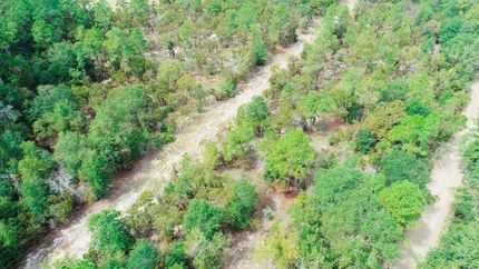 Ranch Property in Bulloch County, Georgia