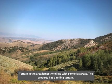 Horse Property in Elko County, Nevada