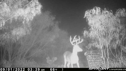 Waterfront Property in La Salle County, Texas