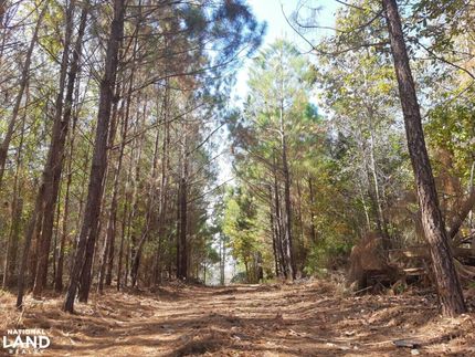 Undeveloped Land in Montgomery County, Alabama