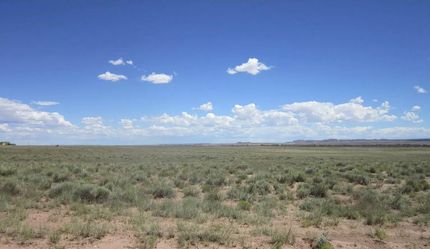 Timberland Property in Navajo County, Arizona