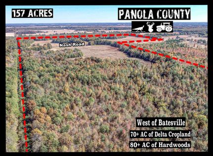 Timberland Property in Panola County, Mississippi