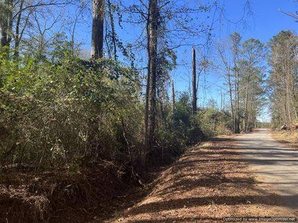 Undeveloped Land in Leake County, Mississippi