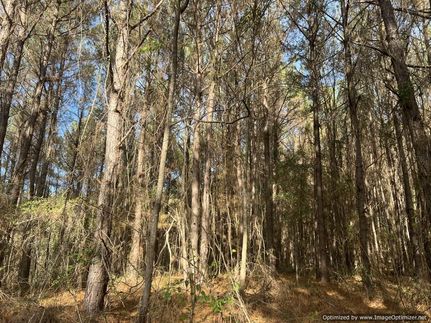 Farm Property in Leake County, Mississippi