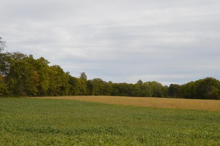 Farm Property in Sandusky County, Ohio