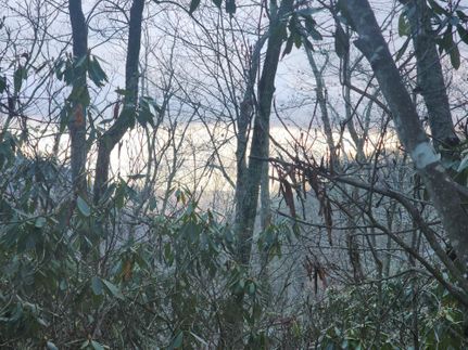 Recreational Property in Burke County, North Carolina