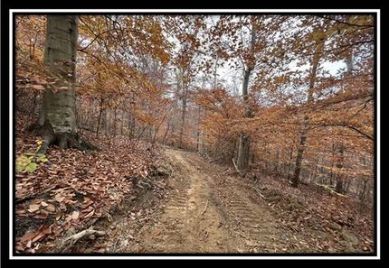 Farm Property in Meigs County, Ohio