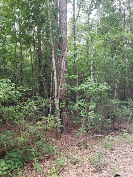 Farm Property in Jasper County, Texas