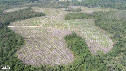 Property in Liberty County, Georgia