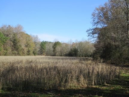 Farm Property in Benton County, Mississippi