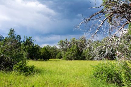 Recreational Property in Yavapai County, Arizona