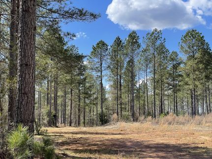 Farm Property in Abbeville County, South Carolina