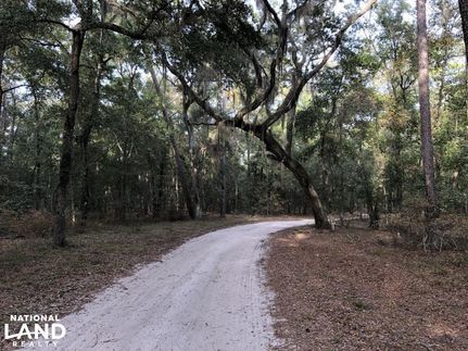 Undeveloped Land in Camden County, Georgia