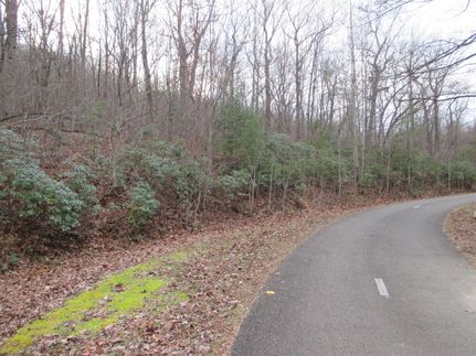 Ranch Property in Dawson County, Georgia
