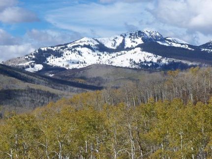 Horse Property for sale in Routt County, Colorado
