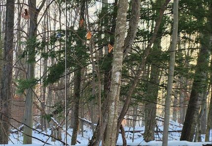Farm Property in Manistee County, Michigan