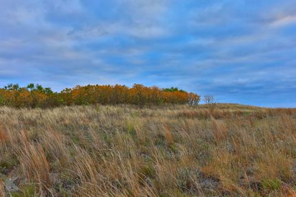 Undeveloped Land in Stonewall County, Texas