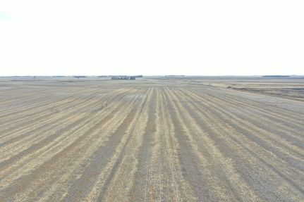 Undeveloped Land in Nelson County, North Dakota
