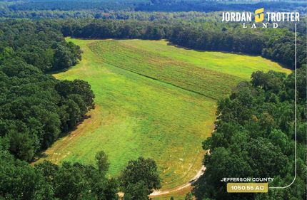 Timberland Property in Jefferson County, Georgia