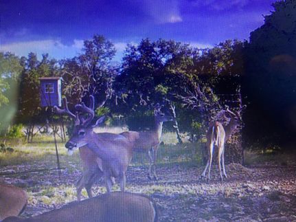 Farm Property in Edwards County, Texas