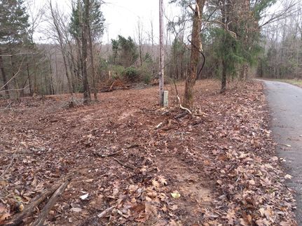 Undeveloped Land in Metcalfe County, Kentucky