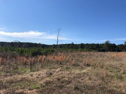 Farm Property in Neshoba County, Mississippi