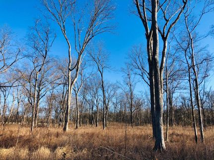 Farm Property in Sharkey County, Mississippi