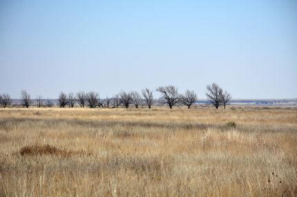Farm Property in Bailey County, Texas