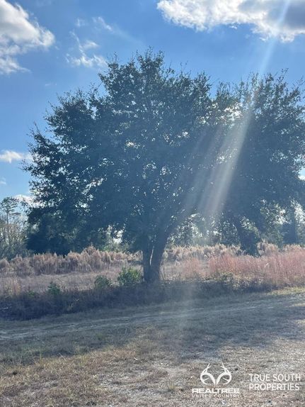 Undeveloped Land in Jasper County, South Carolina