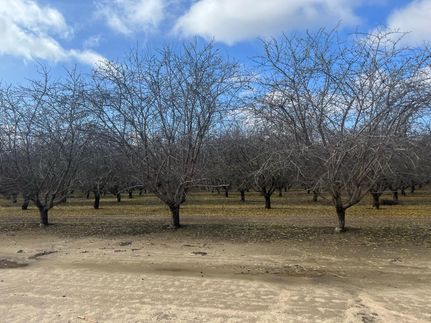 Ranch Property in Kern County, California
