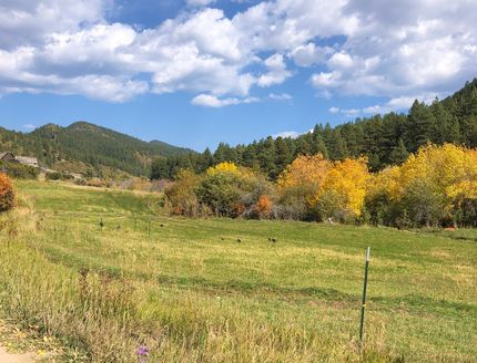 Farm Property in La Plata County, Colorado